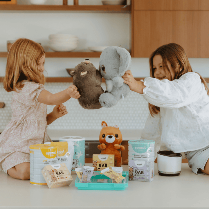 Wombat Plush Toy - Sprout Organic