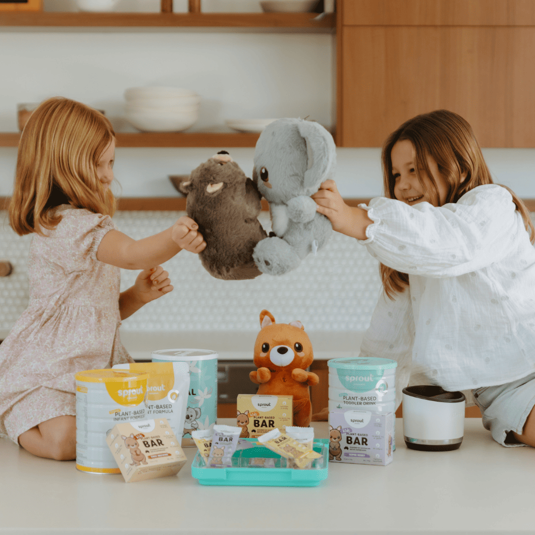 Wombat Plush Toy - Sprout Organic