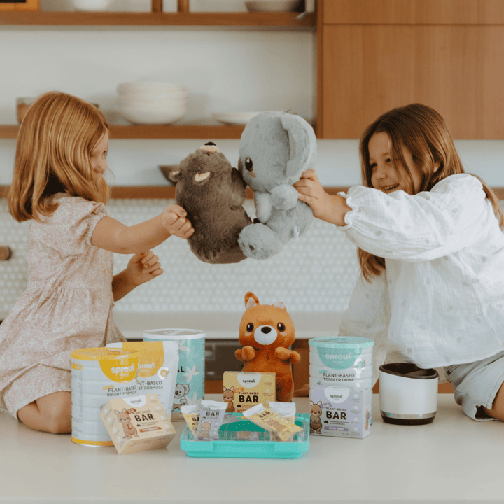 Wombat Plush Toy - Sprout Organic